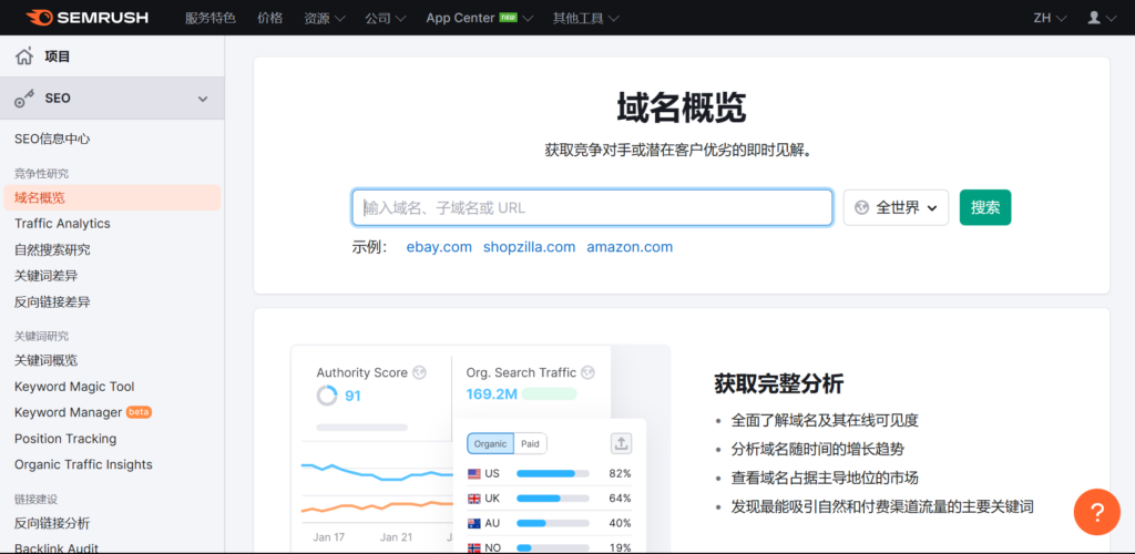 點選左側 SEO 工作區的「域名概覽」