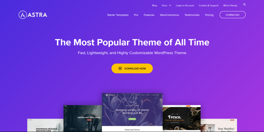 Astra theme