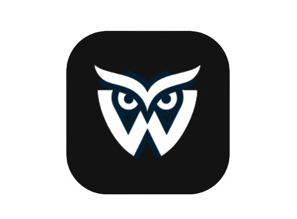 Wisnode AI