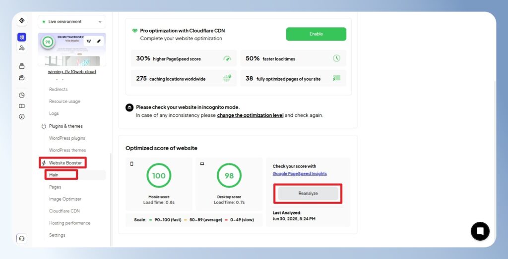 10Web PageSpeed 最佳化設定頁面