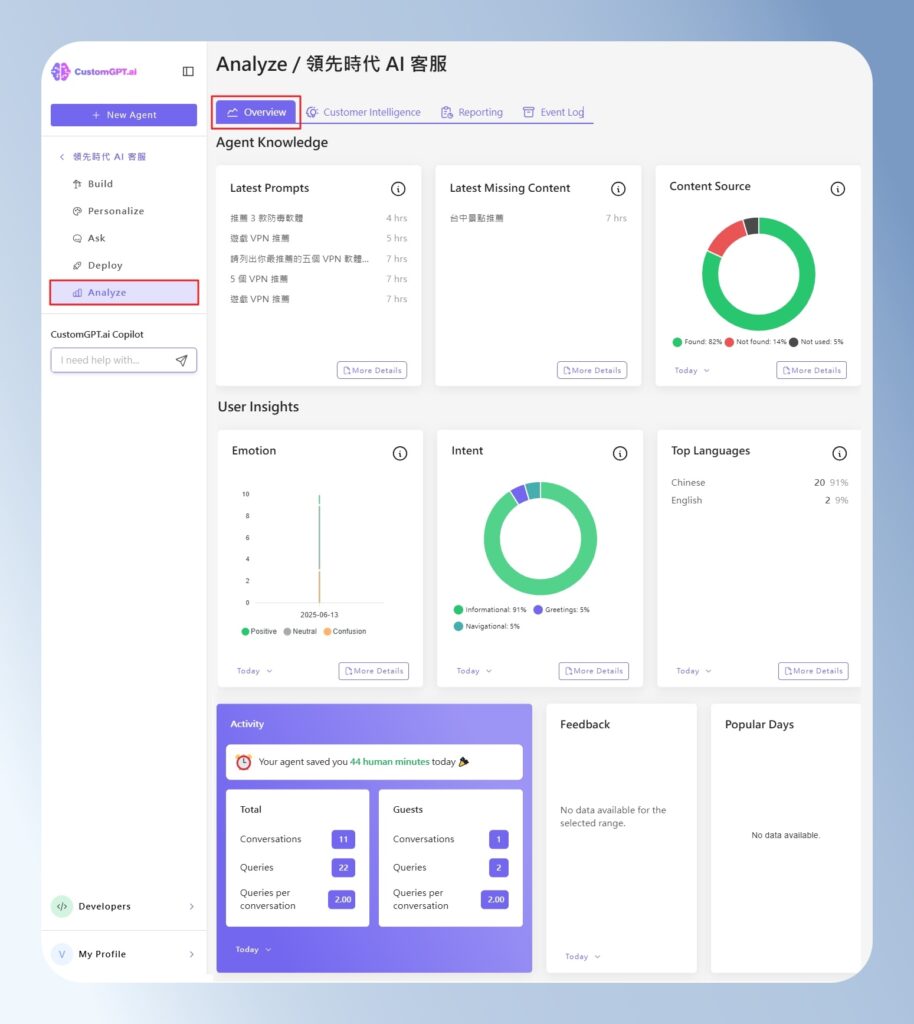 CustomGPT.ai Analyze 的 Overview 畫面