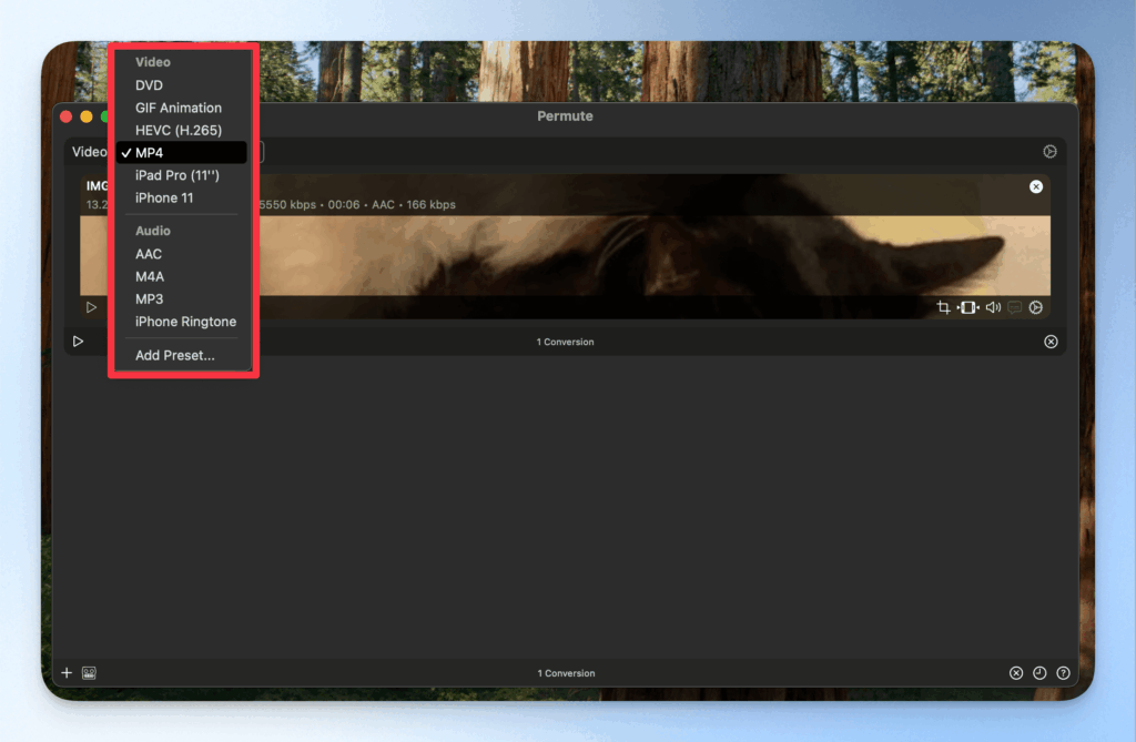permute-mp4-convert-tutorial