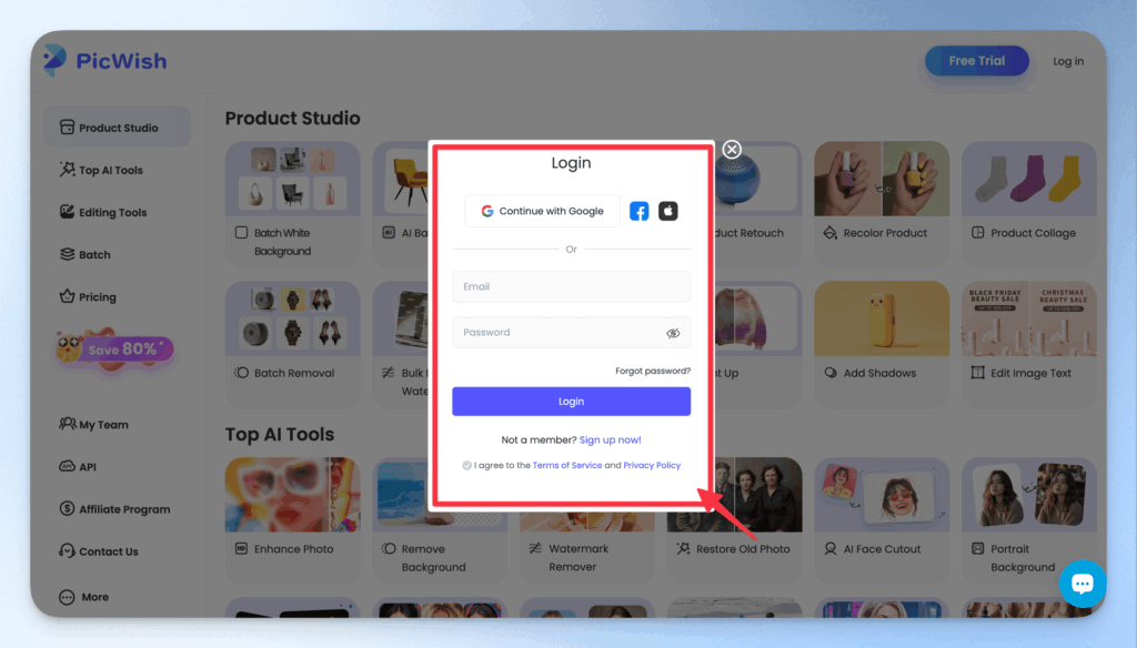 picwish-introduction-and-tutorial