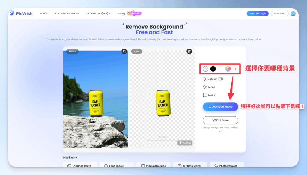 picwish-introduction-and-tutorial