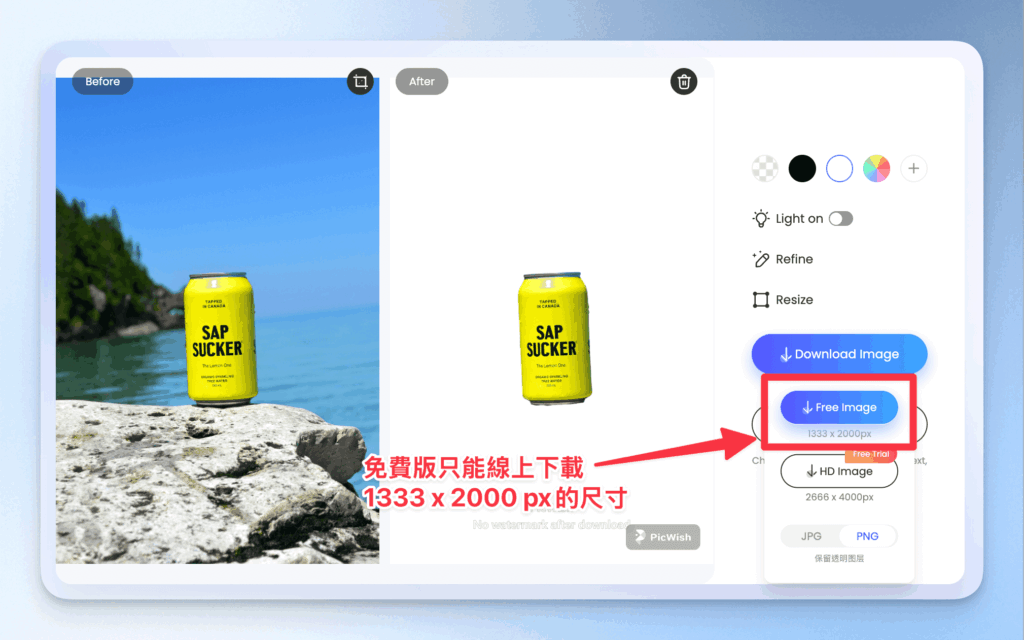picwish-introduction-and-tutorial