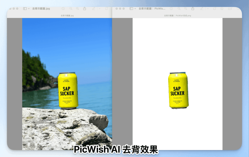 picwish-introduction-and-tutorial